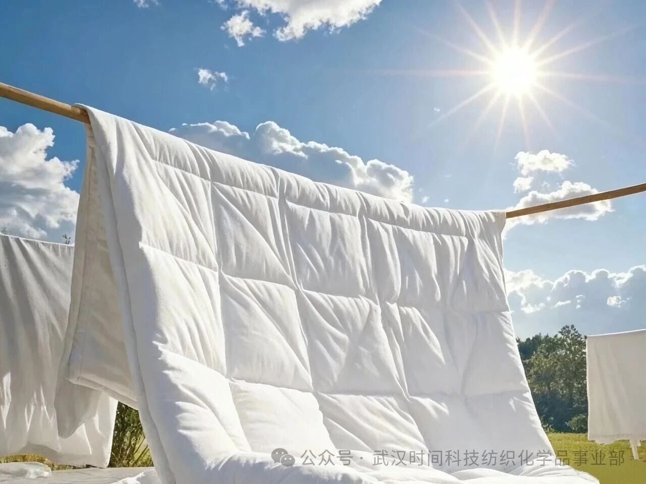 防螨！已成為健康的&ldquo;新剛需&rdquo;--武漢時間科技推出紡織品防螨整理劑喜化&reg;植螨零